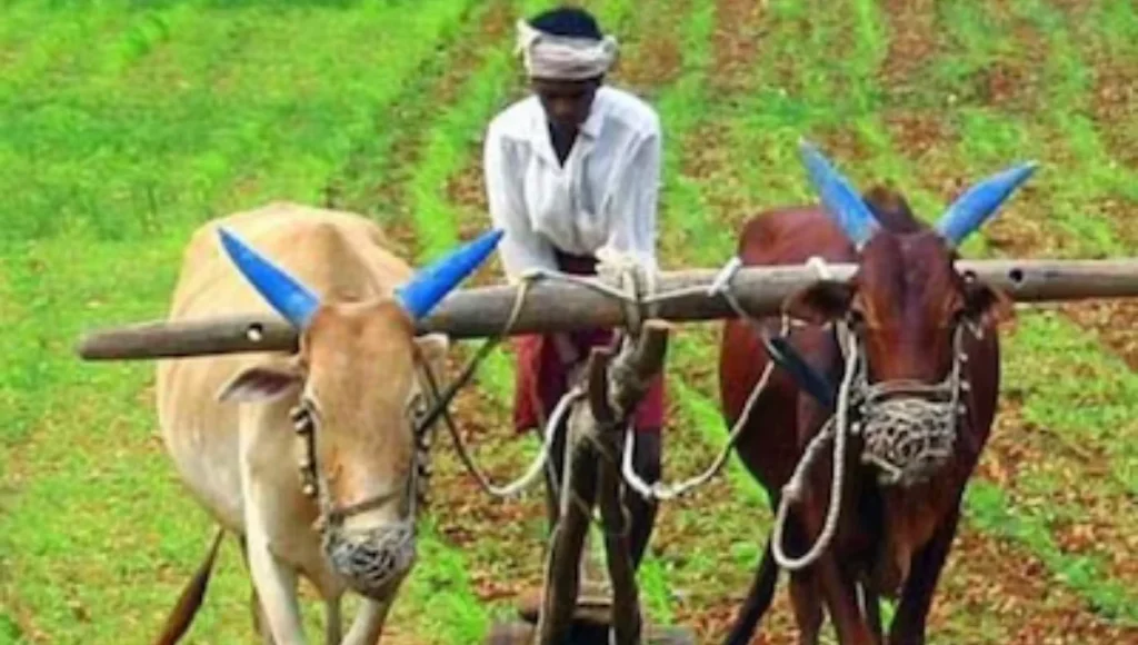 CM Kisan Kalyan Yojana