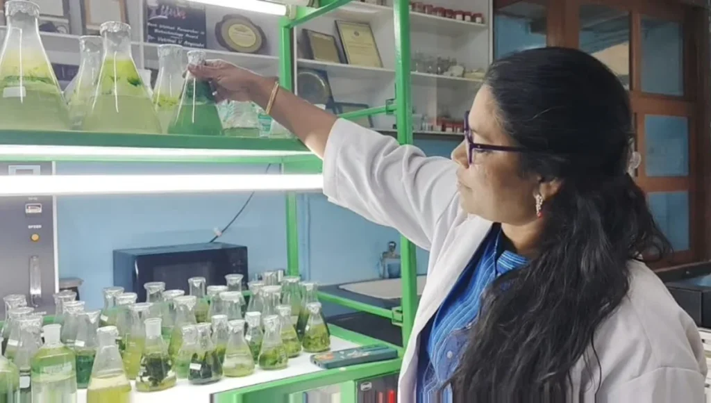 Women Scientist Scheme-C